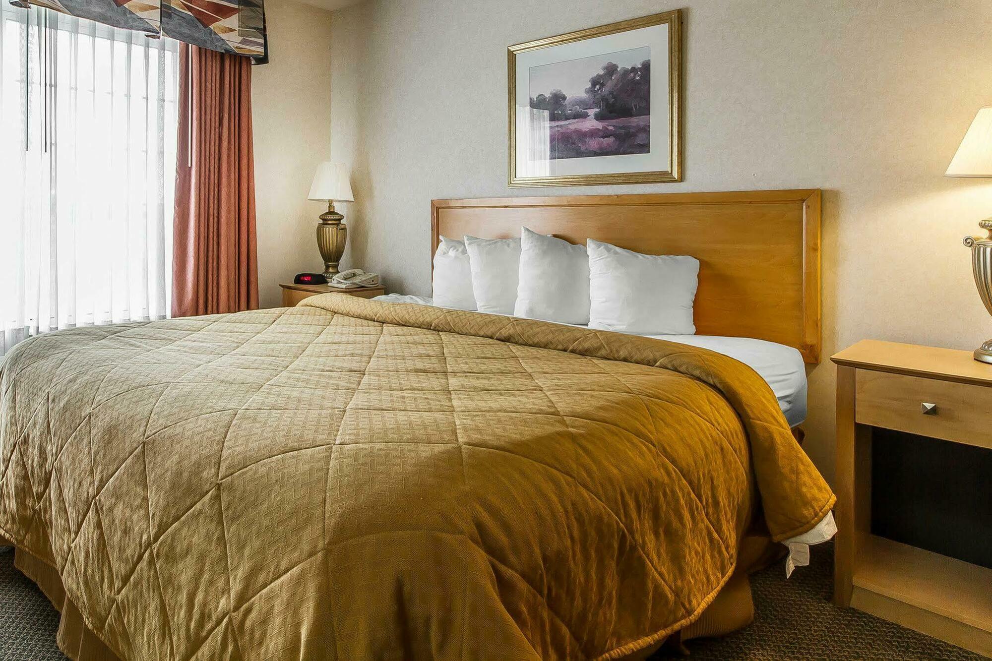 Quality Inn & Suites Lodi I-90 Dış mekan fotoğraf